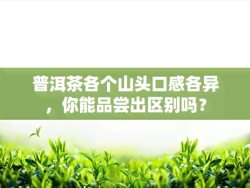 普洱茶各个山头口感各异，你能品尝出区别吗？