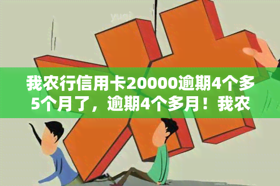 我农行信用卡20000逾期4个多5个月了，逾期4个多月！我农行信用卡欠款达20000元，该如何解决？