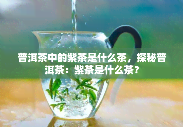 普洱茶中的紫茶是什么茶，探秘普洱茶：紫茶是什么茶？