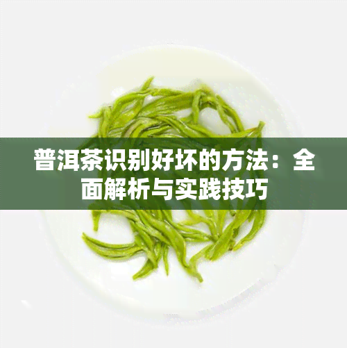 普洱茶识别好坏的方法：全面解析与实践技巧