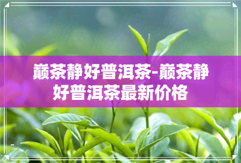 巅茶静好普洱茶-巅茶静好普洱茶最新价格