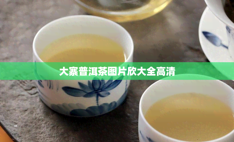 大寨普洱茶图片欣大全高清