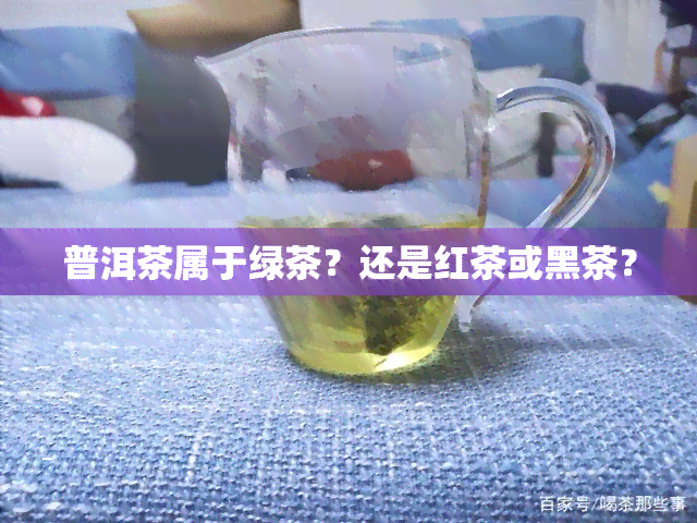 普洱茶属于绿茶？还是红茶或黑茶？