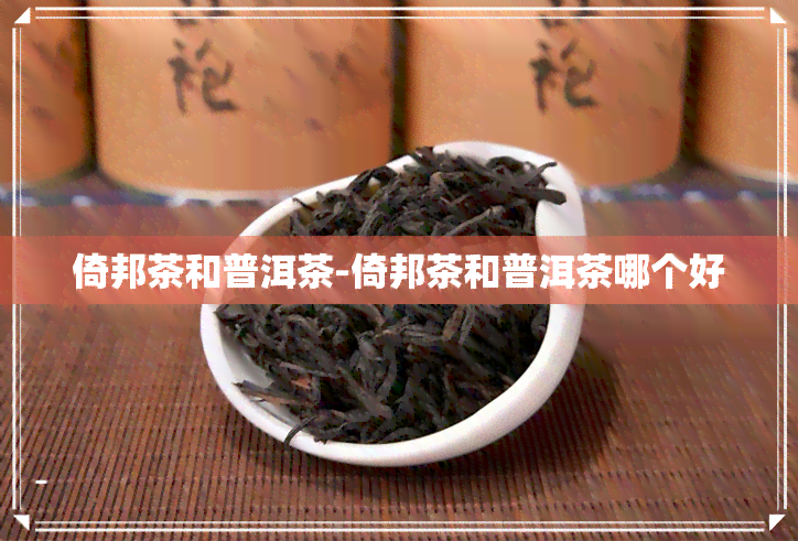 倚邦茶和普洱茶-倚邦茶和普洱茶哪个好