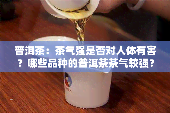 普洱茶：茶气强是否对人体有害？哪些品种的普洱茶茶气较强？