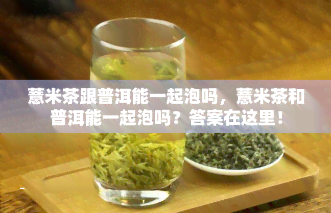 薏米茶跟普洱能一起泡吗，薏米茶和普洱能一起泡吗？答案在这里！