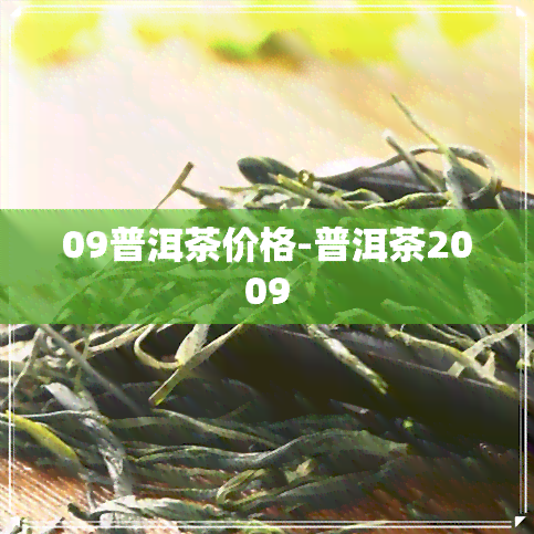 09普洱茶价格-普洱茶2009