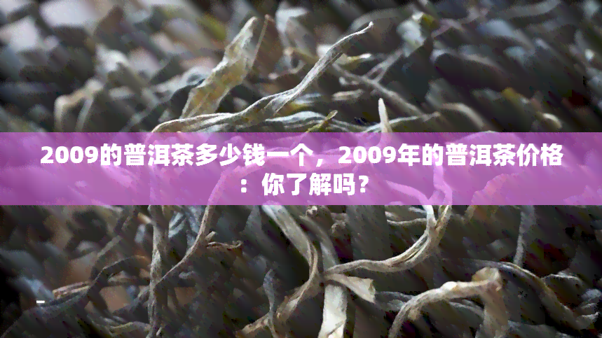 2009的普洱茶多少钱一个，2009年的普洱茶价格：你了解吗？