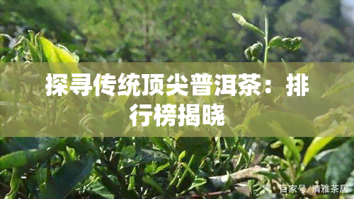 探寻传统顶尖普洱茶：排行榜揭晓