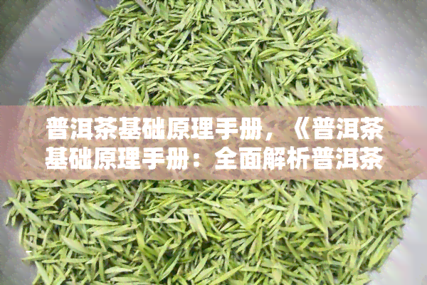 普洱茶基础原理手册，《普洱茶基础原理手册：全面解析普洱茶的制作、品鉴与收藏》