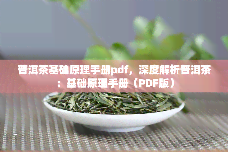 普洱茶基础原理手册pdf，深度解析普洱茶：基础原理手册（PDF版）