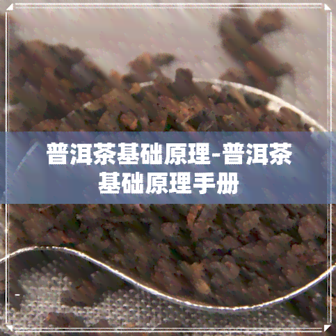 普洱茶基础原理-普洱茶基础原理手册