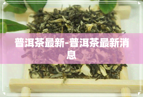 普洱茶最新-普洱茶最新消息