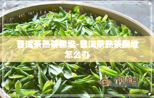 普洱茶熟茶翻堆-普洱茶熟茶翻堆怎么办