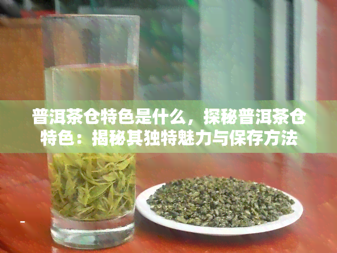 普洱茶仓特色是什么，探秘普洱茶仓特色：揭秘其独特魅力与保存方法