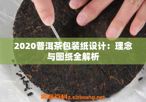 2020普洱茶包装纸设计：理念与图纸全解析