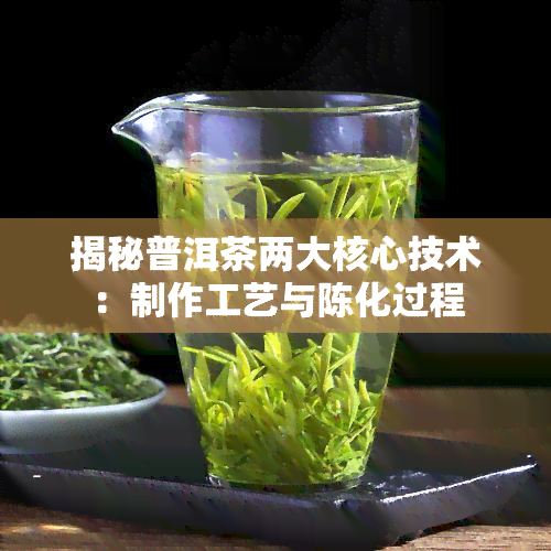 揭秘普洱茶两大核心技术：制作工艺与陈化过程