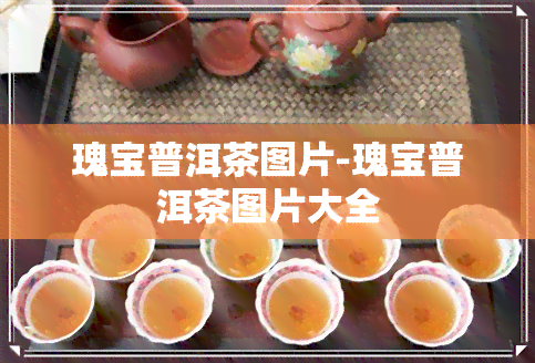 瑰宝普洱茶图片-瑰宝普洱茶图片大全