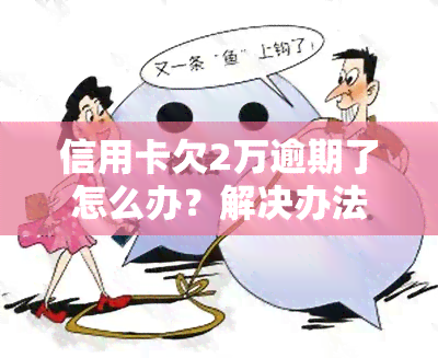 信用卡欠2万逾期了怎么办？解决办法全攻略！