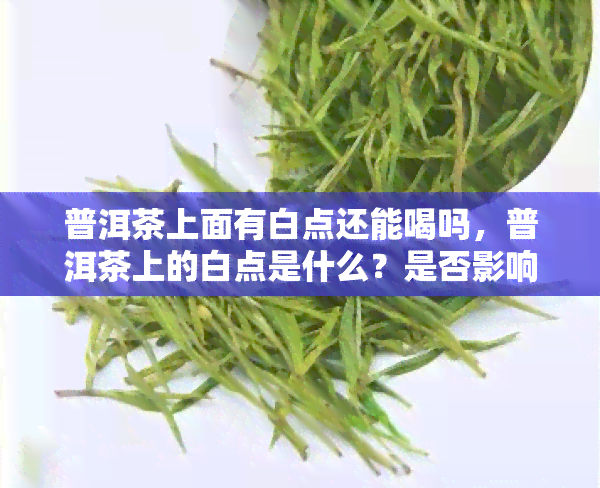 普洱茶上面有白点还能喝吗，普洱茶上的白点是什么？是否影响饮用？