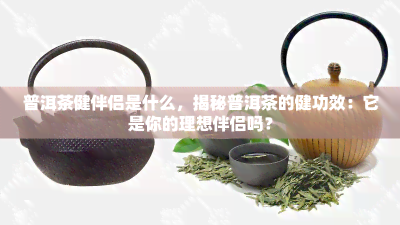 普洱茶健伴侣是什么，揭秘普洱茶的健功效：它是你的理想伴侣吗？