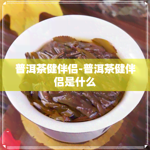 普洱茶健伴侣-普洱茶健伴侣是什么