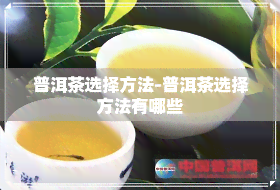 普洱茶选择方法-普洱茶选择方法有哪些