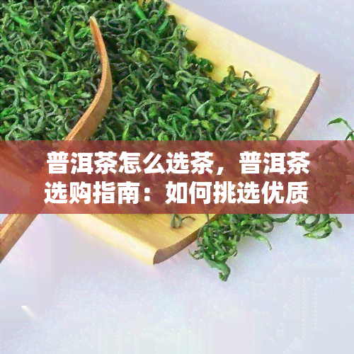 普洱茶怎么选茶，普洱茶选购指南：如何挑选优质的普洱茶？