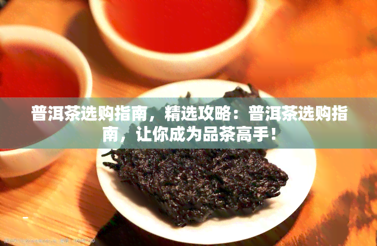 普洱茶选购指南，精选攻略：普洱茶选购指南，让你成为品茶高手！