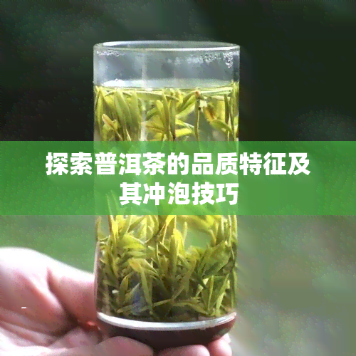 探索普洱茶的品质特征及其冲泡技巧