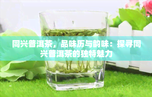 同兴普洱茶，品味历与韵味：探寻同兴普洱茶的独特魅力