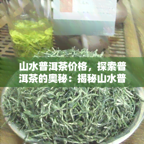 山水普洱茶价格，探索普洱茶的奥秘：揭秘山水普洱茶的价格与品质