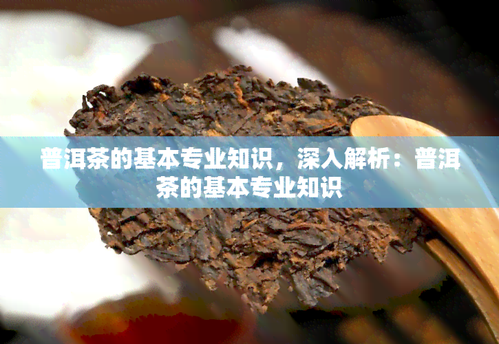 普洱茶的基本专业知识，深入解析：普洱茶的基本专业知识