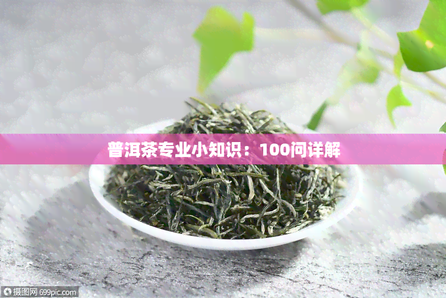 普洱茶专业小知识：100问详解