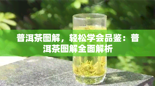 普洱茶图解，轻松学会品鉴：普洱茶图解全面解析