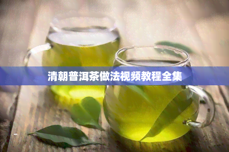 清朝普洱茶做法视频教程全集