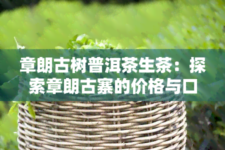 章朗古树普洱茶生茶：探索章朗古寨的价格与口感