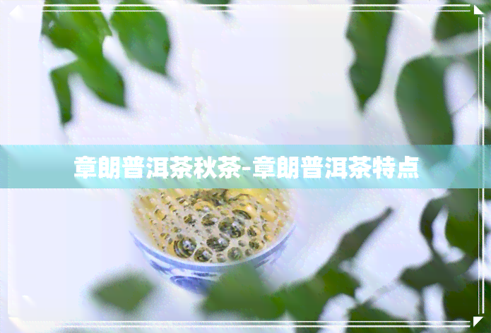 章朗普洱茶秋茶-章朗普洱茶特点