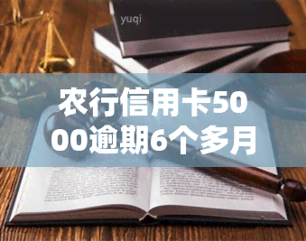 农行信用卡5000逾期6个多月，逾期六个月！农行信用卡欠款五千余元仍未偿还