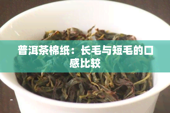 普洱茶棉纸：长毛与短毛的口感比较