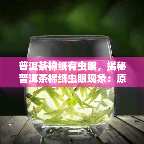 普洱茶棉纸有虫眼，揭秘普洱茶棉纸虫眼现象：原因、影响与处理方法