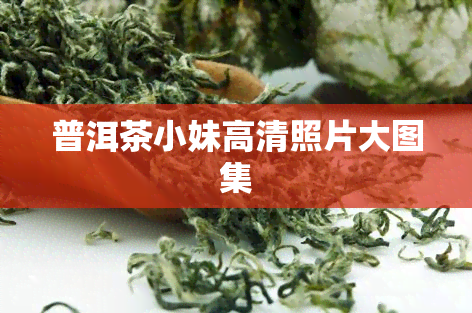 普洱茶小妹高清照片大图集