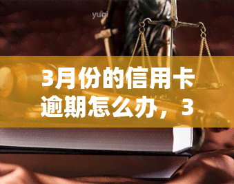 3月份的信用卡逾期怎么办，3月信用卡逾期处理攻略