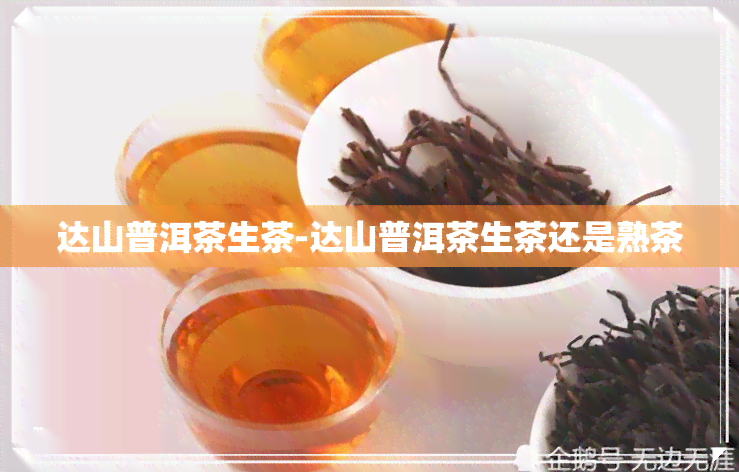 达山普洱茶生茶-达山普洱茶生茶还是熟茶