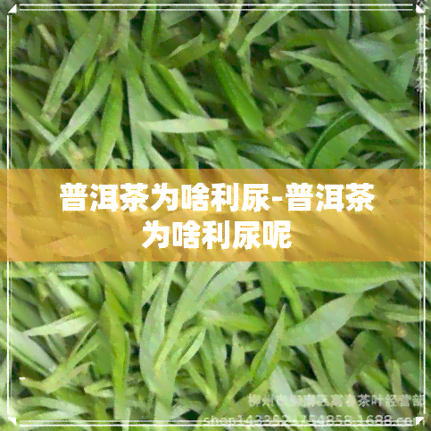 普洱茶为啥利尿-普洱茶为啥利尿呢