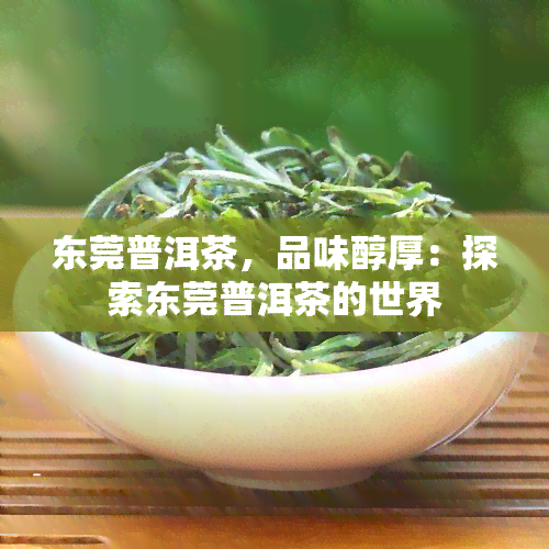 东莞普洱茶，品味醇厚：探索东莞普洱茶的世界