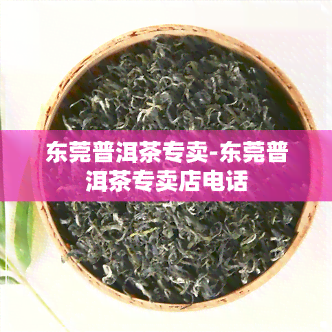 东莞普洱茶专卖-东莞普洱茶专卖店电话