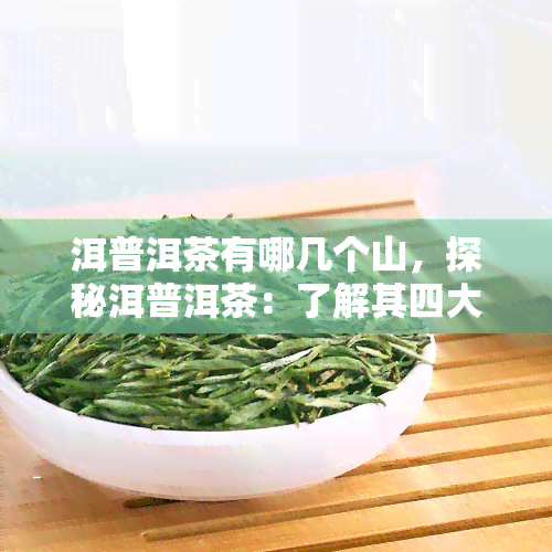 洱普洱茶有哪几个山，探秘洱普洱茶：了解其四大主要山脉