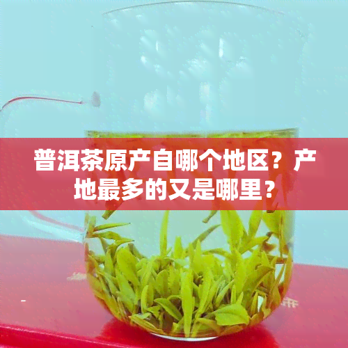 普洱茶原产自哪个地区？产地最多的又是哪里？