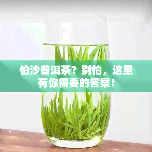 怕沙普洱茶？别怕，这里有你需要的答案！